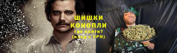 дурь Алзамай